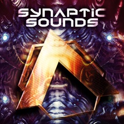 Synaptic Sounds 002