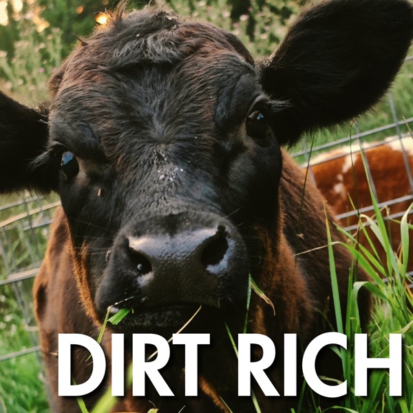 Dirt Rich image