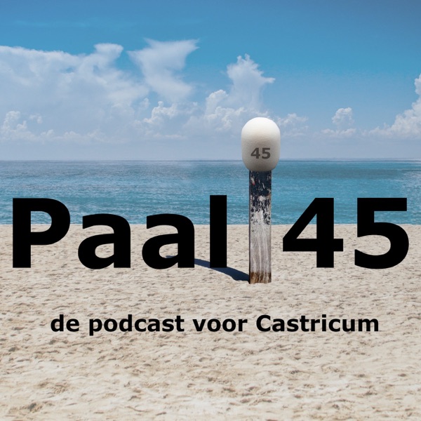 Artwork for Paal 45