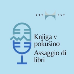 07. Zamejskistan v literaturi milenijcev