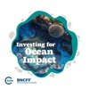 Investing For Ocean Impact artwork