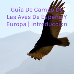 Guía De Campo De Las Aves De España Y Europa | Introduccion