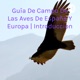 Guía de campo de las aves de España y Europa | Ciclo vital 2a parte, identificación y comportamiento