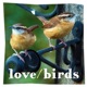 love/birds