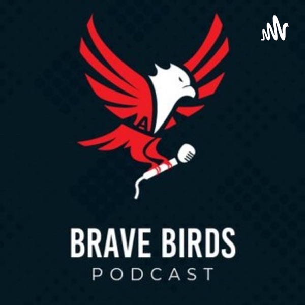 Artwork for Brave Birds