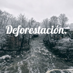 Deforestación. 