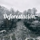 La deforestación.
