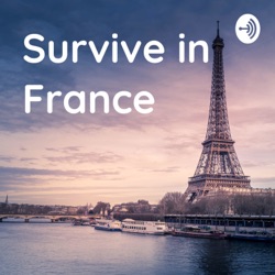 Survive in France (Trailer)