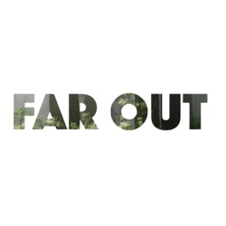 FAR OUT #210 ~ Leaving the Forest: Surrendering to Mystery
