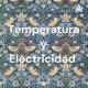 Temperatura y Electricidad 