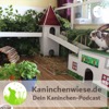 Kaninchenwiese.de Dein Kaninchen-Podcast