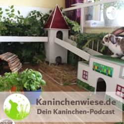 Kaninchen-Ernährung vereinfachen - mach dir das Leben leichter!