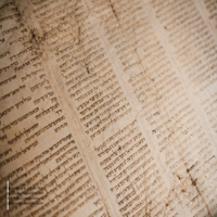 We Only Have What We Give Psychology of the Daf Pesachim 35 Rabbi Simcha Feuerman LCSW-R, DHL