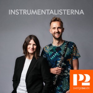 Instrumentalisterna