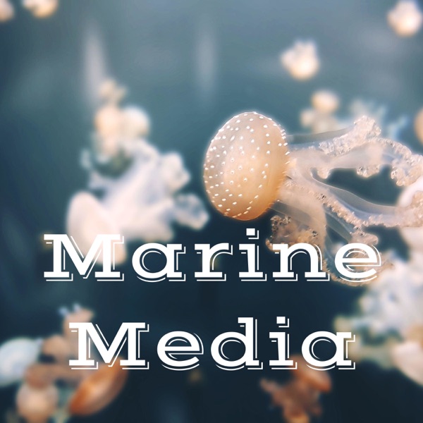 Marine Media Artwork