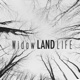 Widow Land Life