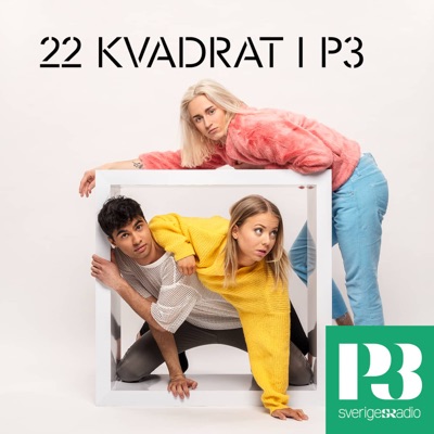 22 Kvadrat i P3