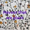 Havest that we plant artwork