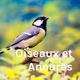 Oiseaux et Anoures