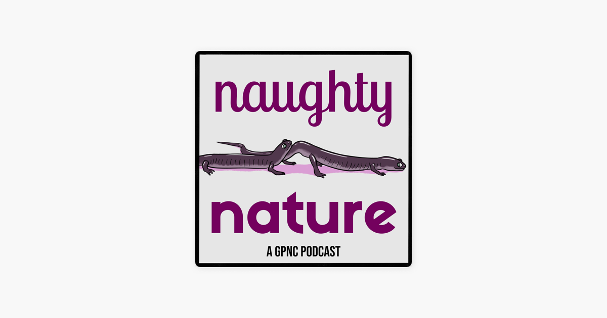 tømrer Jeg bærer tøj værtinde Naughty Nature on Apple Podcasts