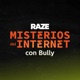 Misterios del Internet con Bully