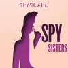 Spy Sisters | Women | Spies | Crime | Detective | Murder | Politics artwork