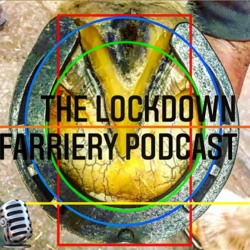 BFBA Focus Podcast Episode 6 Focus Last Day