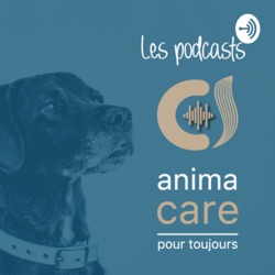 Que perd on quand l’animal nous quitte ?