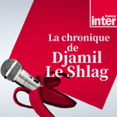 La chronique de Djamil le Shlag - France Inter