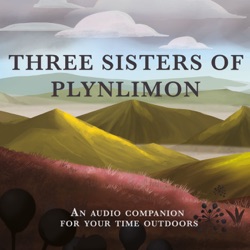 The Three Sisters of Plynlimon