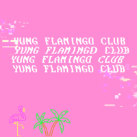 Yung Flamingo Club: Jacques Renault