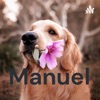 Manuel artwork