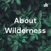 About Wilderness artwork