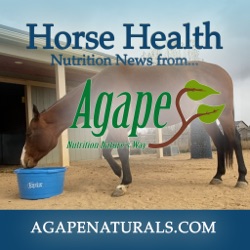Horse Nutrition News with Agape