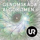 Genomskåda algoritmen