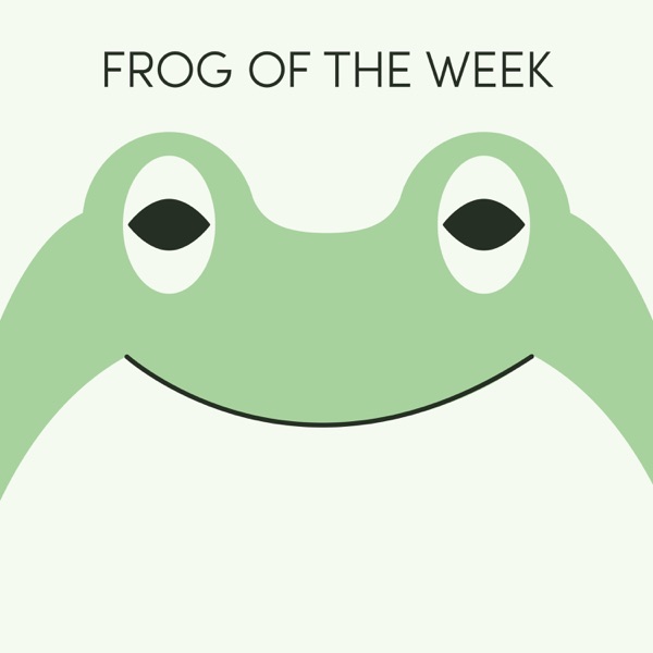 Frog of the Week Artwork