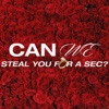 Can We Steal You For A Sec?  artwork