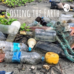 Costing the Earth