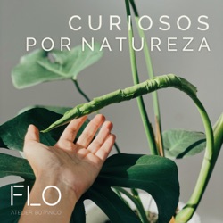 curiosos por natureza