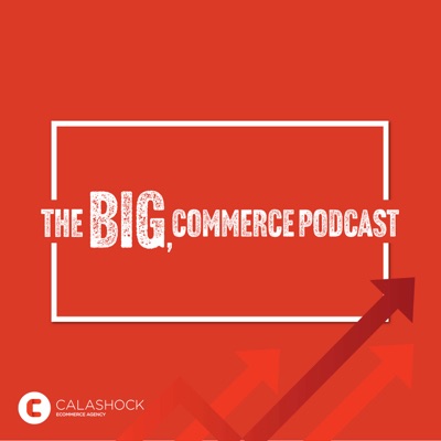 003 - Launching a successful ecommerce business. Part 2