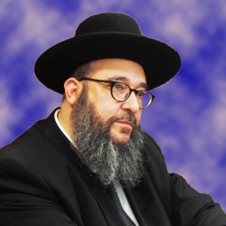 Defining the differentiation between classes: Yeshiva man or bal habos