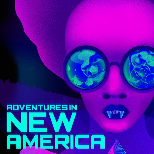 Adventures in New America Artwork
