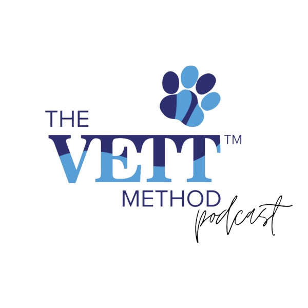 The VETT Method Artwork