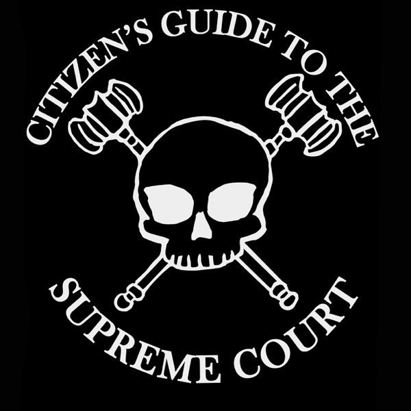 The Citizen's Guide to the Supreme Court Artwork