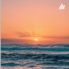 Chasing Sunshine artwork
