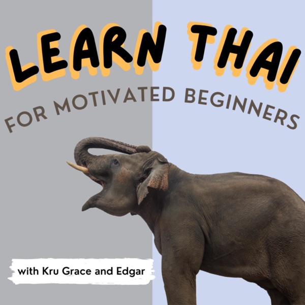 Learn Thai | Motivated Beginner Artwork