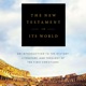 Delving Into The New Testament In Its World