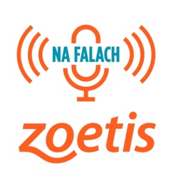 Zwiastun Na Falach Zoetis