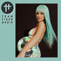Team Tiger Radio #059 Feat. Mike Mago