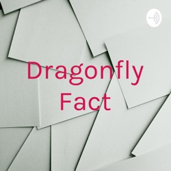 Dragonfly Fact